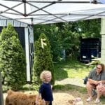 Paint with Highland Cows