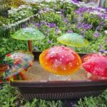 Eureka Library Summer Art Series–Fused Glass Mushroom